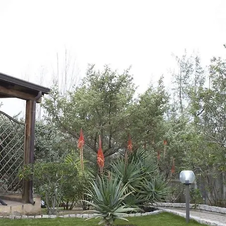 Il Girasole *